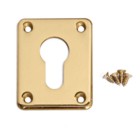 Накладка декоративная Апекс DP-C-01-G распродажа